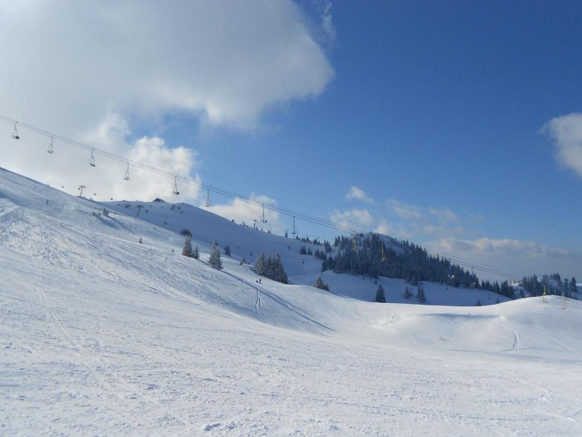 Hedonic Kopaonik Exterior foto