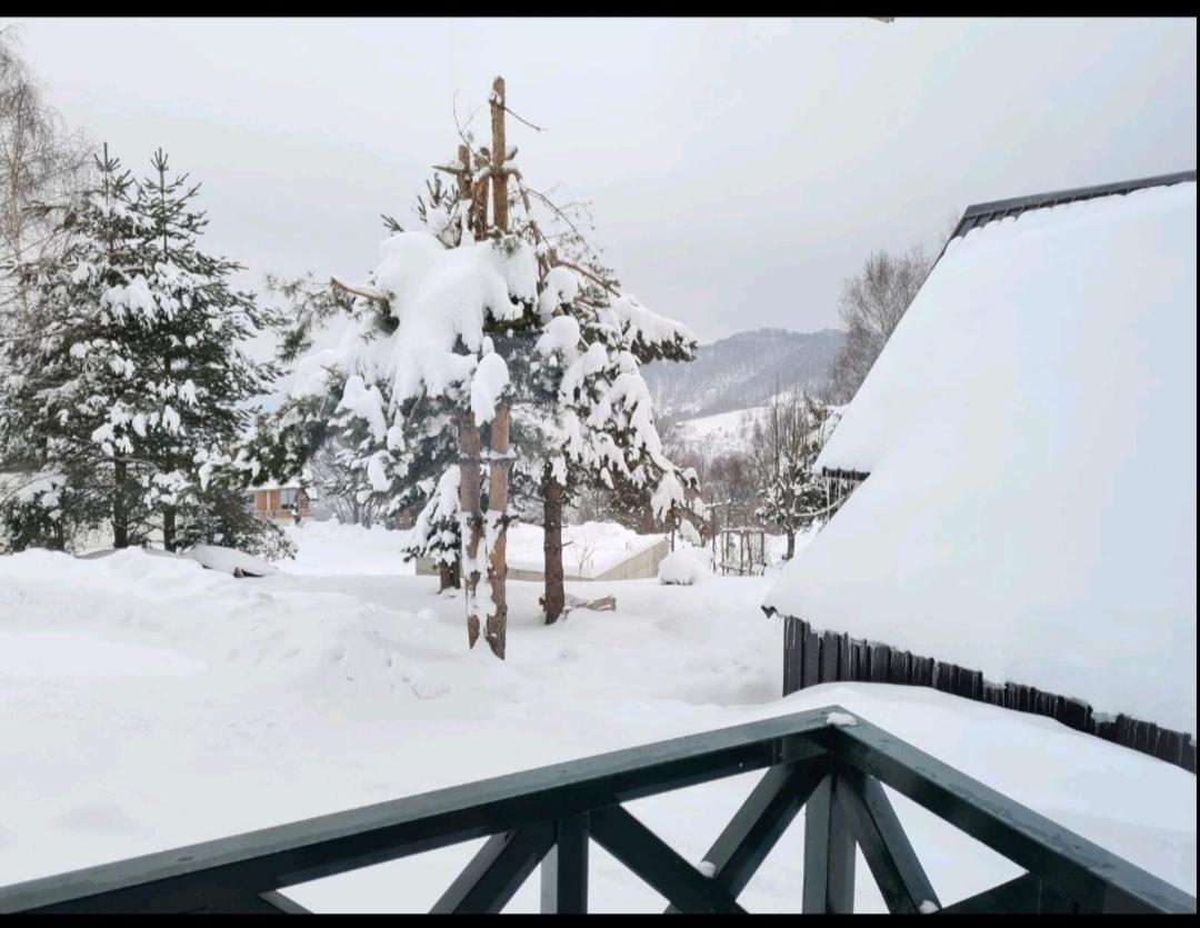 Hedonic Kopaonik Exterior foto
